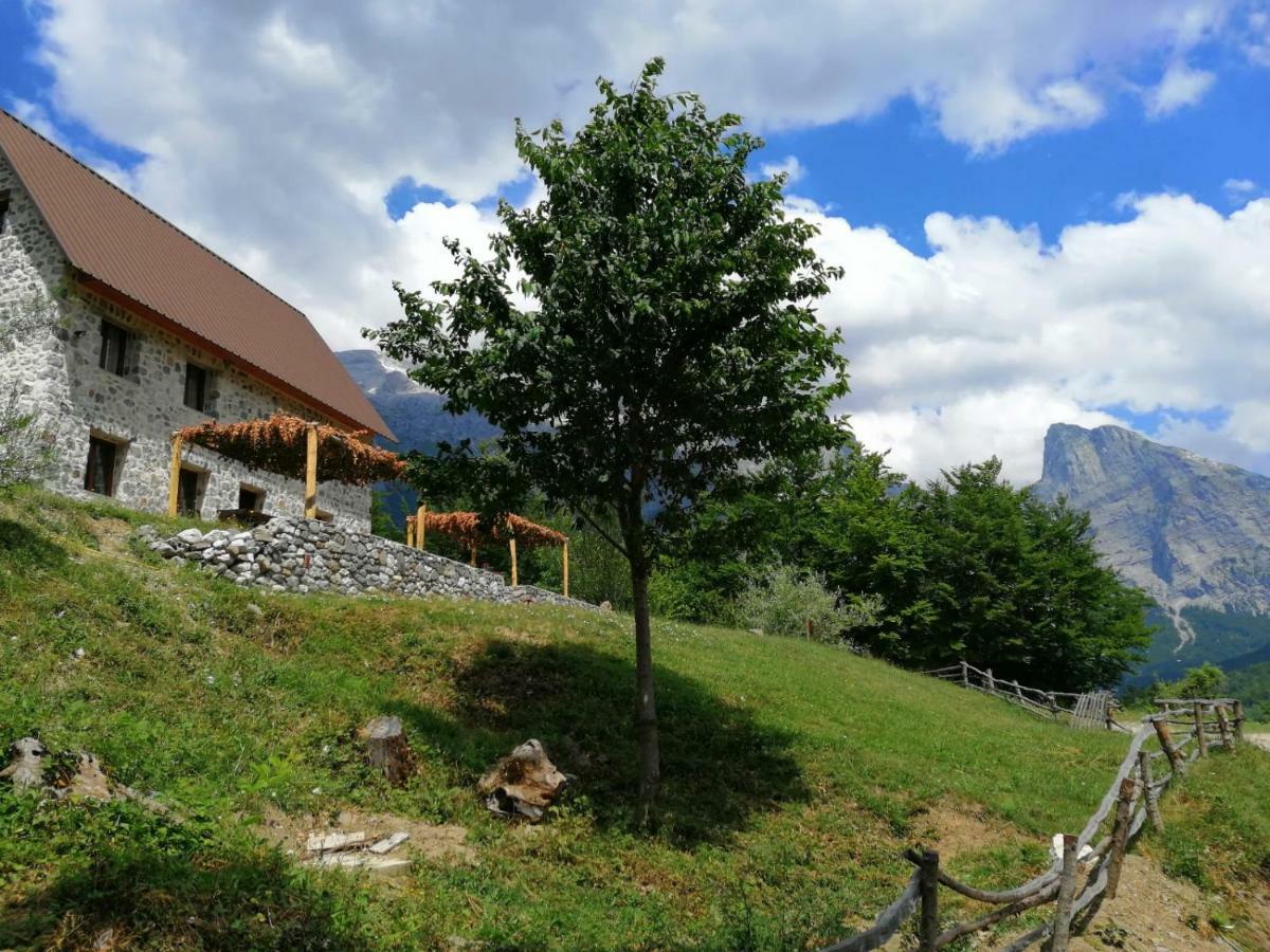 Guest House Panorama Theth Exteriör bild